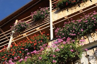 Hotel Albergo Centrale Forni