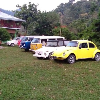 Hotel Green Forest Tangkahan