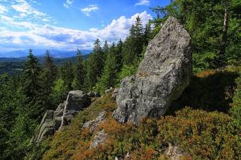 Pension Penzi�n Grand Bystr�