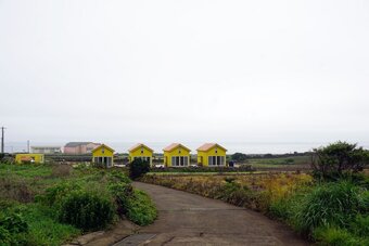 Udo Sunflower Pension And Guesthouse