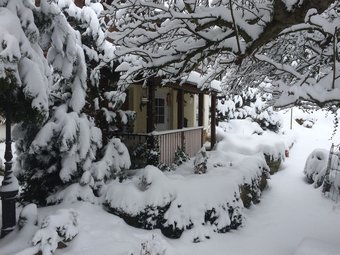 Ferienhaus Hagenwinkel