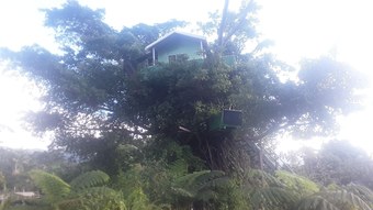 Bed & Breakfast Quarumanu Area