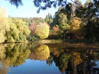 Whispering Spirit Holiday Cottages