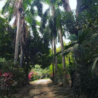 Posada Villa Margarita