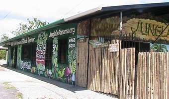 Hostal Jungla De Panama