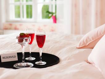 Hotel Lepaan Matkailun Kartanon Vierashuone