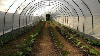 Agroturismo Cascina Knec