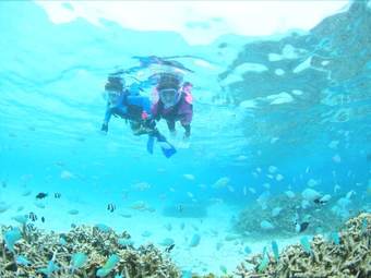 Pension Painushima Resort Coral Fish