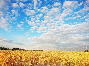 Apartamentos Speedys G�stehaus Am Br�nnchen