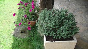 Agroturismo La Casa De La Tila