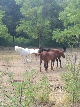 R�sidence Les Cades