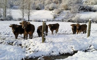Agroturismo Casa Arroyo