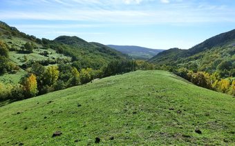 Agroturismo Casa Placidia