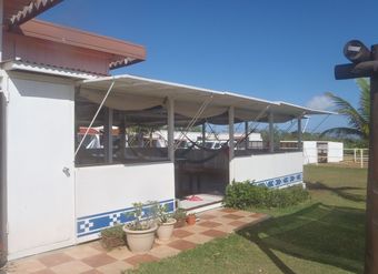 Hostal Iriomotejima Monsoon - Hostel