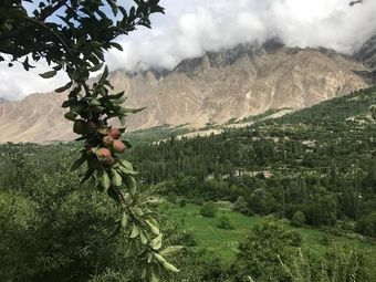 Hotel Baltit Heritage Inn