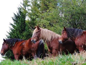 Apartamento Casa Angelo