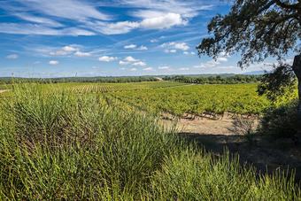 Posada L'auberge De Saint Hilaire