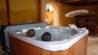 Hotel Les Arcades Le Lion D'or