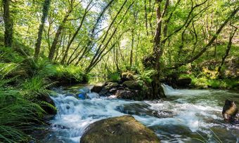 Agroturismo O Mu��o De Pena Casa Rural