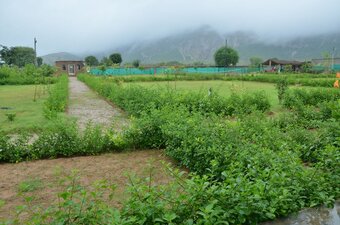 Hotel The Tiger Hill Sariska Resort