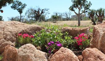 Bed & Breakfast La Casa Bianca