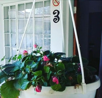 Hotel The Plantation Guesthouse