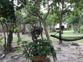 Hotel Balili Farm At Nacpan El Nido