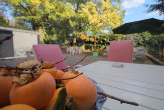 Bed & Breakfast Magma Guest House