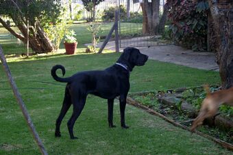 Hotel Frieden-hof Guest Accommodation