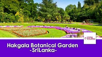 Hotel Casablanka Rest