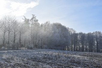 Hotel Gasthof Bergfriede
