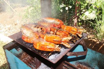 Hotel Bungalows Des Tropiques