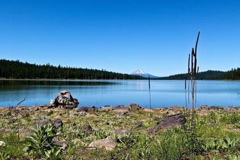 #40 The Cabins At Hyatt Lake-sleeps 6-pet Friendly