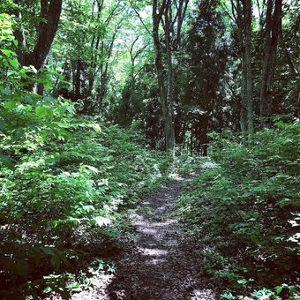 Pension Morino Yado Bj�rk