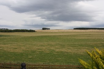 Bed & Breakfast Canterra Cottage