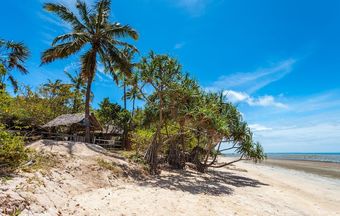 Hotel Capricorn Beach Cottages
