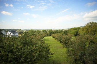Hotel Obsthof Gottenheim