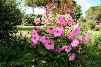 Hotel Vigna Di Valle