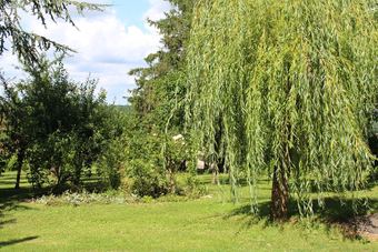 Bed & Breakfast Dans Le Jardin De Marie