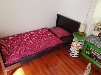 Hostal Ratones De Biblioteca