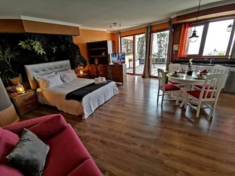 Apartamentos Castelo Austria - Top Floor Studio