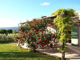 Gite Le Petit Saint Pons