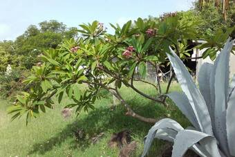 Chalet With 2 Bedrooms In La Trinit�, With Wonderful Sea View, Private Pool, Furnished Garden - 3 Km From The Beach