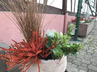 Apartamento Appartement Aux Deux Cigognes