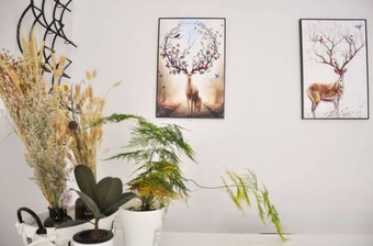 Hotel The Wonderful  Wizard Of Oz