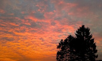 Bed & Breakfast Littlebridge House