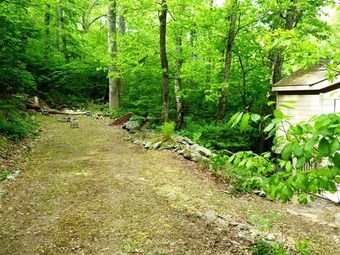 Cabana A_wild_woods_retreat