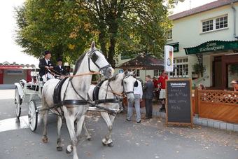 Hotel Und Gasthaus Zum Eichenkranz