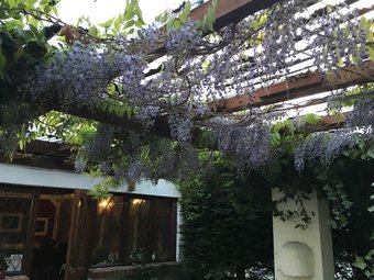 Posada The Cottage Inn Hotel