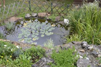 Bed & Breakfast Couette Et Potiron